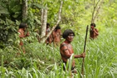 The Green Inferno 2013