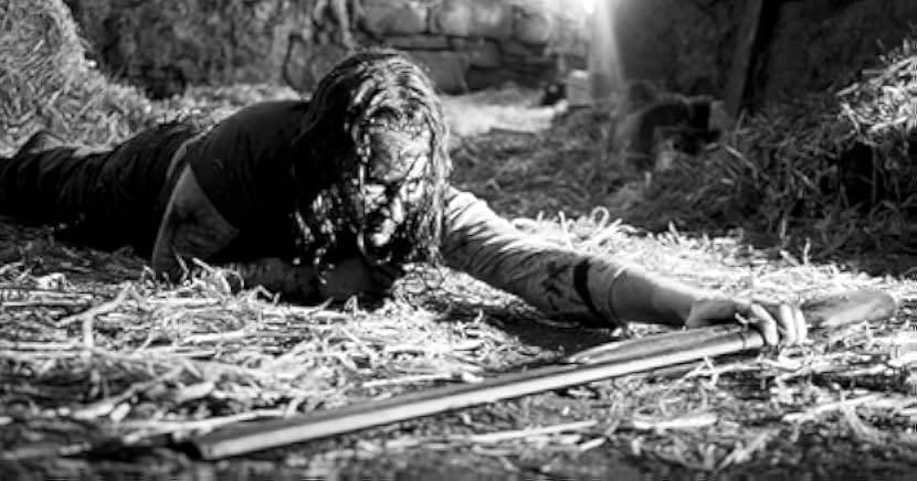 The Redwood Massacre 2014