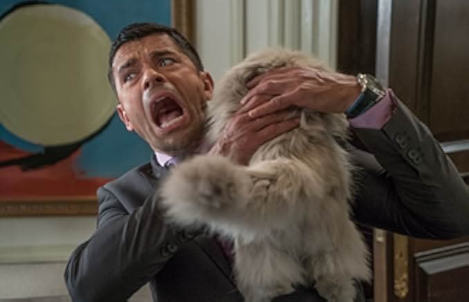 Nine Lives 2016