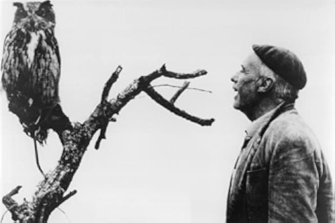 Los santos inocentes 1984