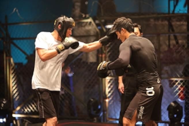 Fists of Legend 2013