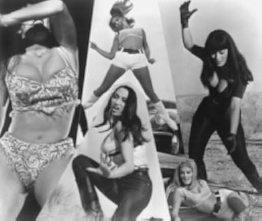 Faster, Pussycat! Kill! Kill! 1965