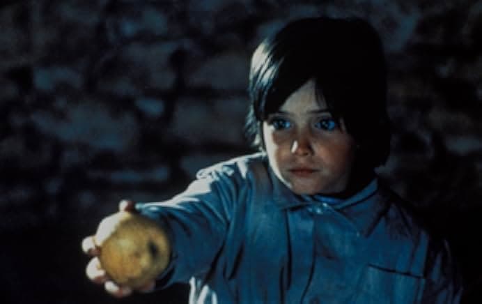 The Spirit of the Beehive 1973