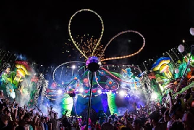 Under the Electric Sky 2014