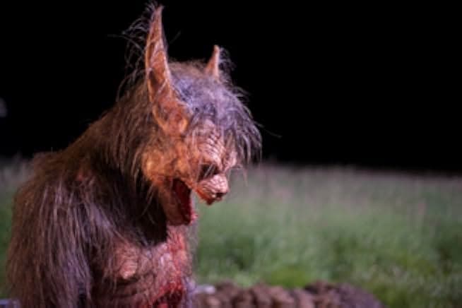 Night of the Wolf 2014