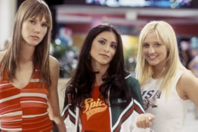 The Hot Chick 2002