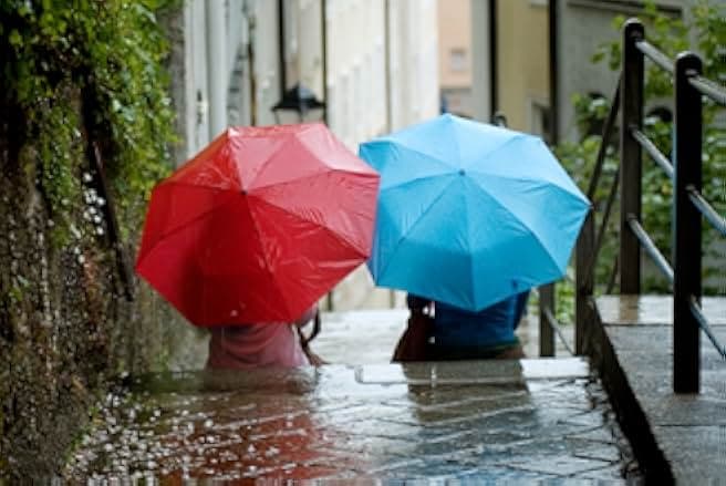 The Errand of Angels 2008