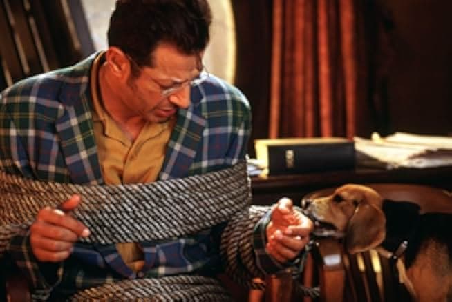 Cats & Dogs 2001
