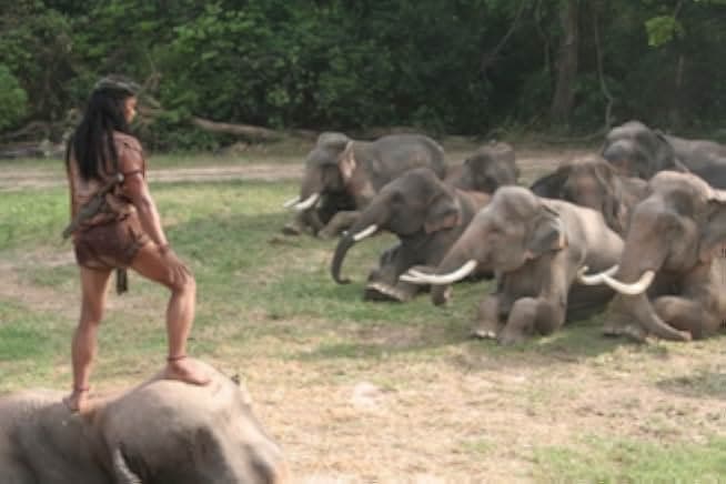 Ong Bak 2 2008