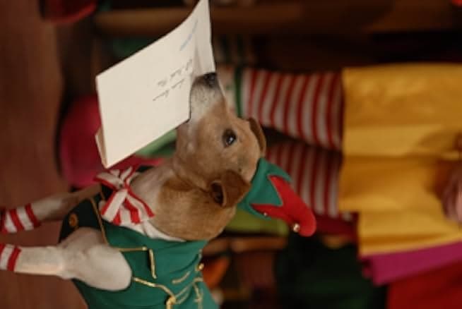 The Search for Santa Paws 2010