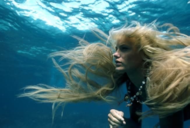 Splash 1984