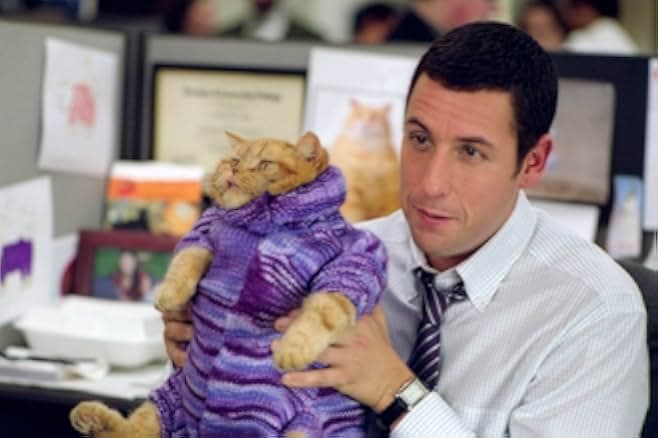 Anger Management 2003