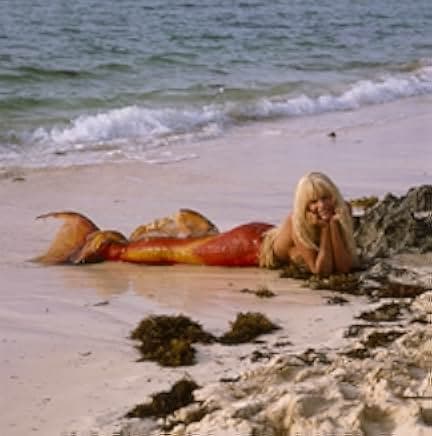 Splash 1984