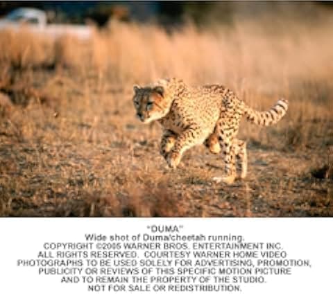 Duma 2005
