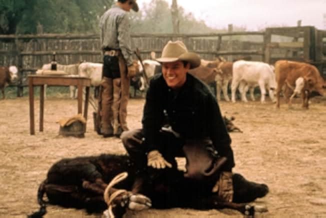 All the Pretty Horses 2000