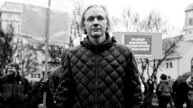 We Steal Secrets 2013