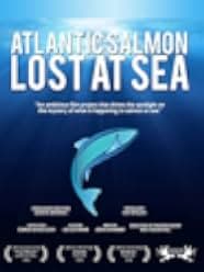 Atlantic Salmon: Lost at Sea 2018