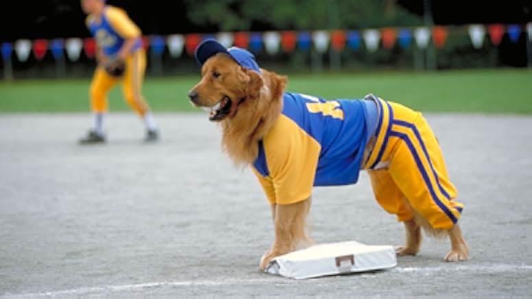 Air Bud: Seventh Inning Fetch 2002