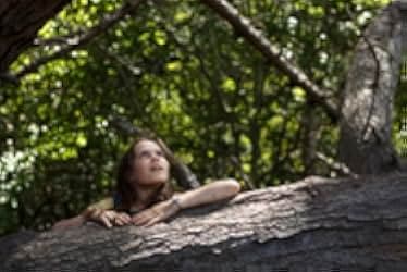 Pete's Dragon 2016