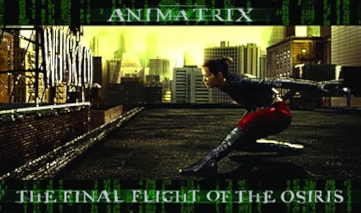Final Flight of the Osiris 2003