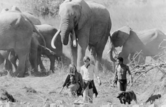 A Far Off Place 1993