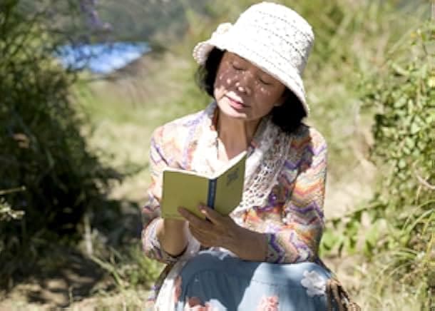 Shi 2010