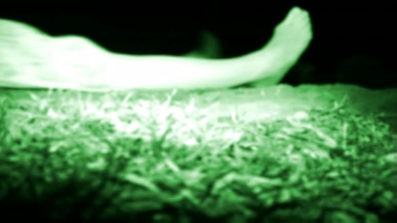 The Poughkeepsie Tapes 2007