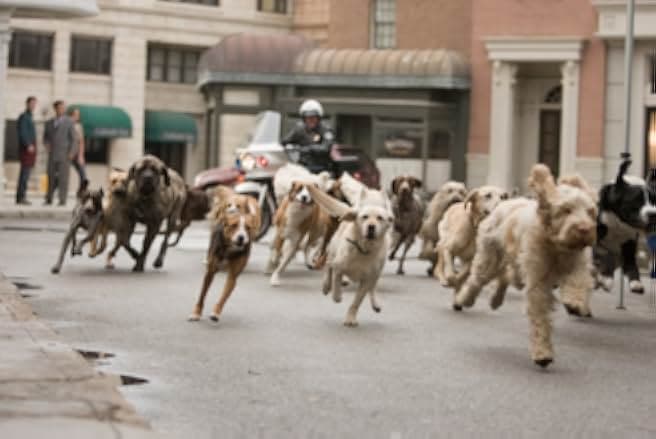 Hotel for Dogs 2009