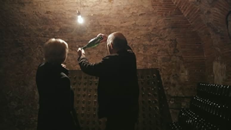 A Year in Champagne 2014