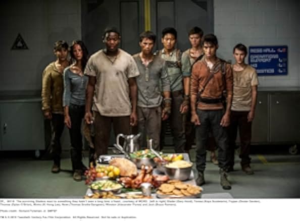Maze Runner: The Scorch Trials 2015