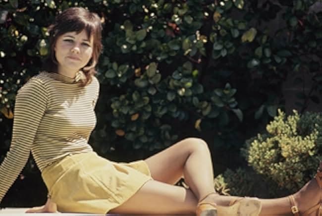 Maybe I'll Come Home in the Spring 1971