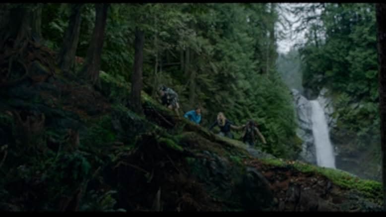 Into the Grizzly Maze 2015