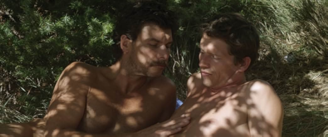 Stranger by the Lake 2013