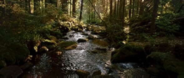 Der Wilde Wald 2021