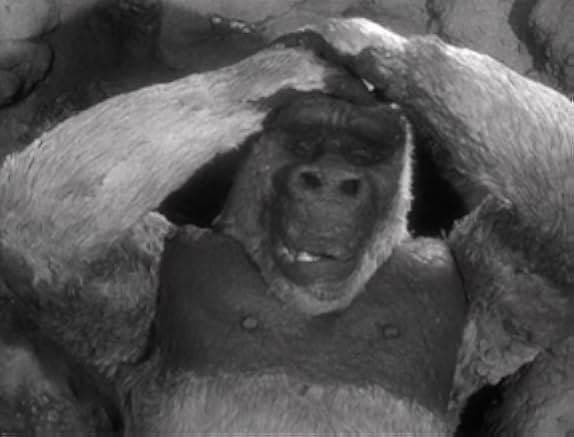 Son of Kong 1933