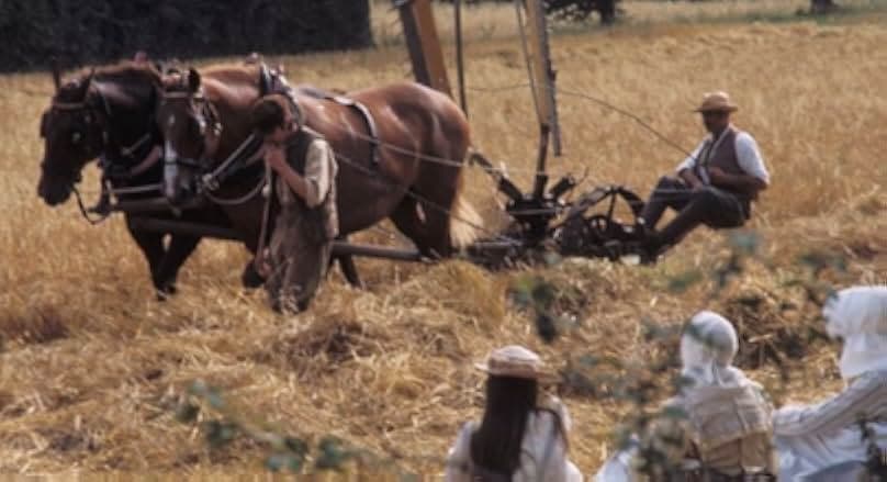 Akenfield 1974