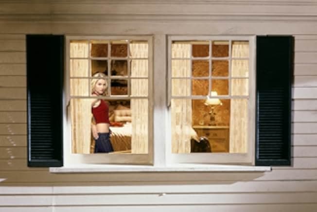 The Girl Next Door 2004