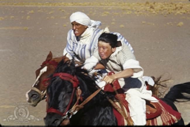 The Black Stallion Returns 1983