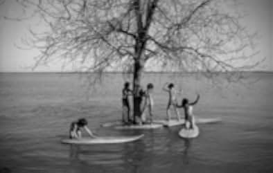 Surfwise 2007