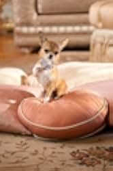 Beverly Hills Chihuahua 2 2011