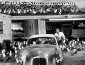 The Birds 1963