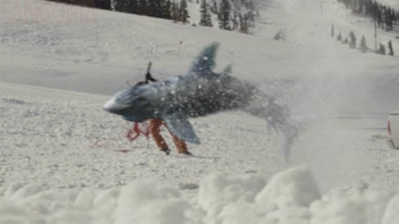 Avalanche Sharks 2014