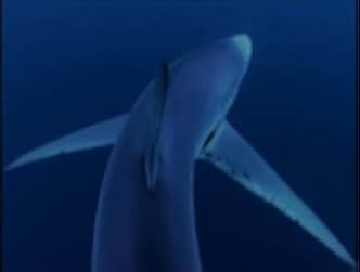 The Blue Planet 2002