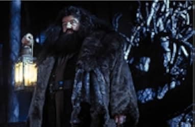 Harry Potter and the Sorcerer's Stone 2001