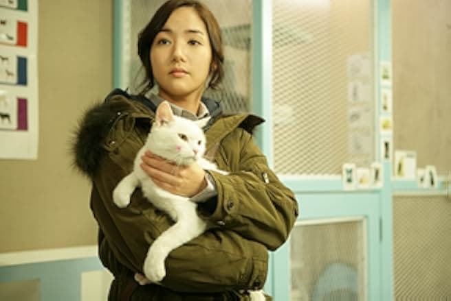 The Cat 2013