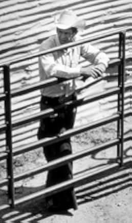 Junior Bonner 1972
