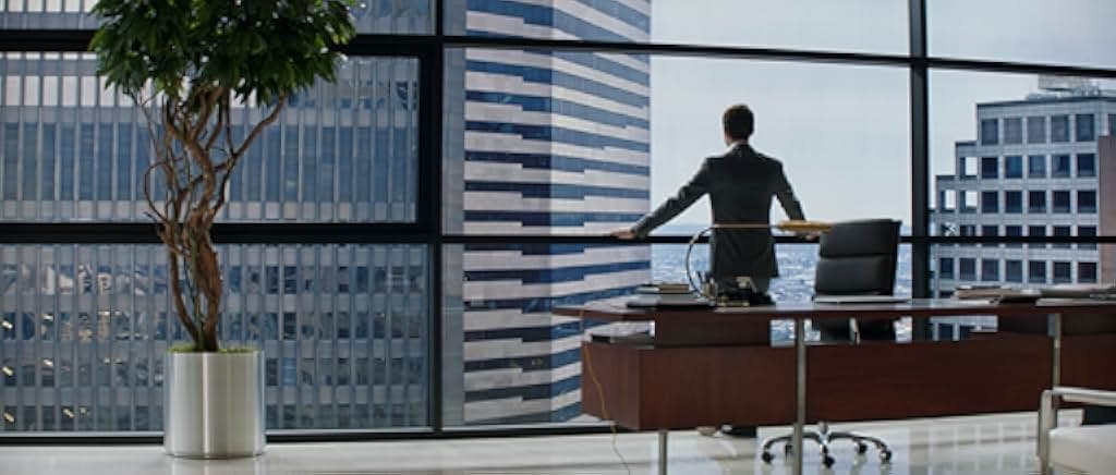 Fifty Shades of Grey 2015