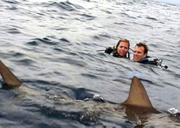 Open Water 2003
