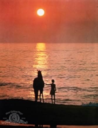 The Black Stallion 1979