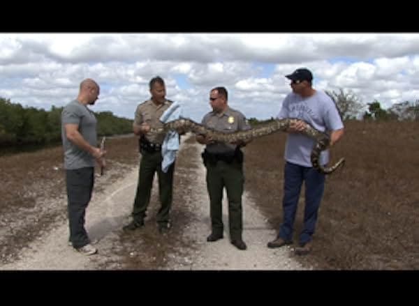 The Elephant in the Living Room 2010